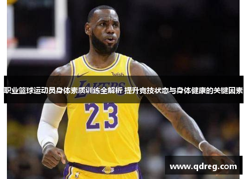 职业篮球运动员身体素质训练全解析 提升竞技状态与身体健康的关键因素