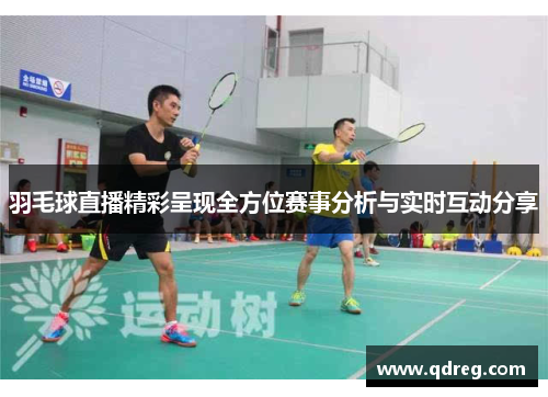 羽毛球直播精彩呈现全方位赛事分析与实时互动分享
