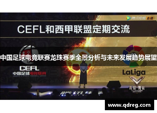 中国足球电竞联赛龙珠赛季全景分析与未来发展趋势展望